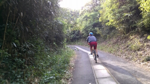 IMG_20150517_160439.jpg image