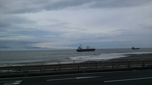 IMG_20150519_120133.jpg image