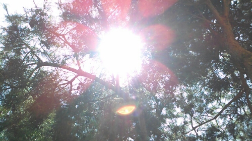 CM150726-115610001.jpg image