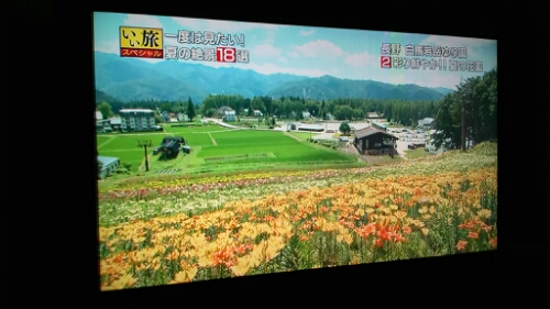 IMG_20150726_184122.jpg image