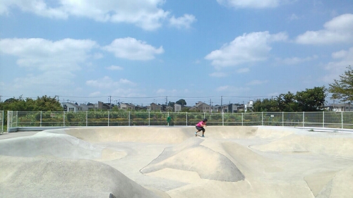 CM150809-120343032.jpg image