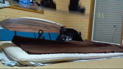 CM151021-184447028.jpg image