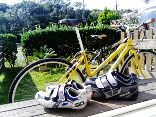 wp-1444623268724 image